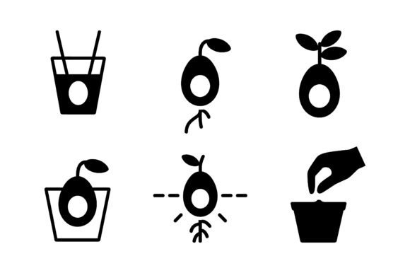 Avocado Icons for Crafts & Graphics Review