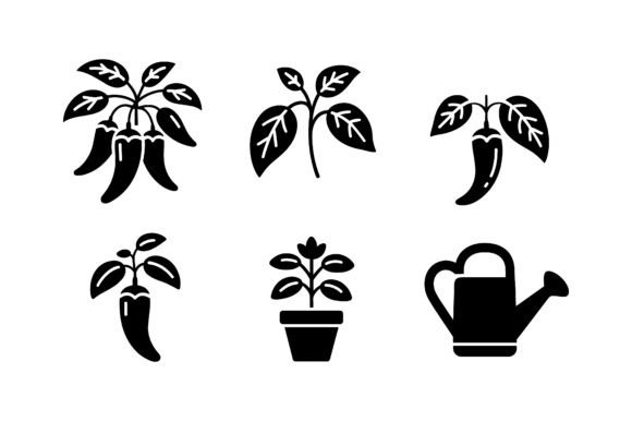 Chili Plant Growing Icon Set EPS: Graphics & Icons