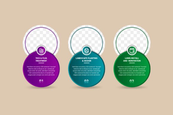 Five Circle Page Box Infographic: Graphics for Branding